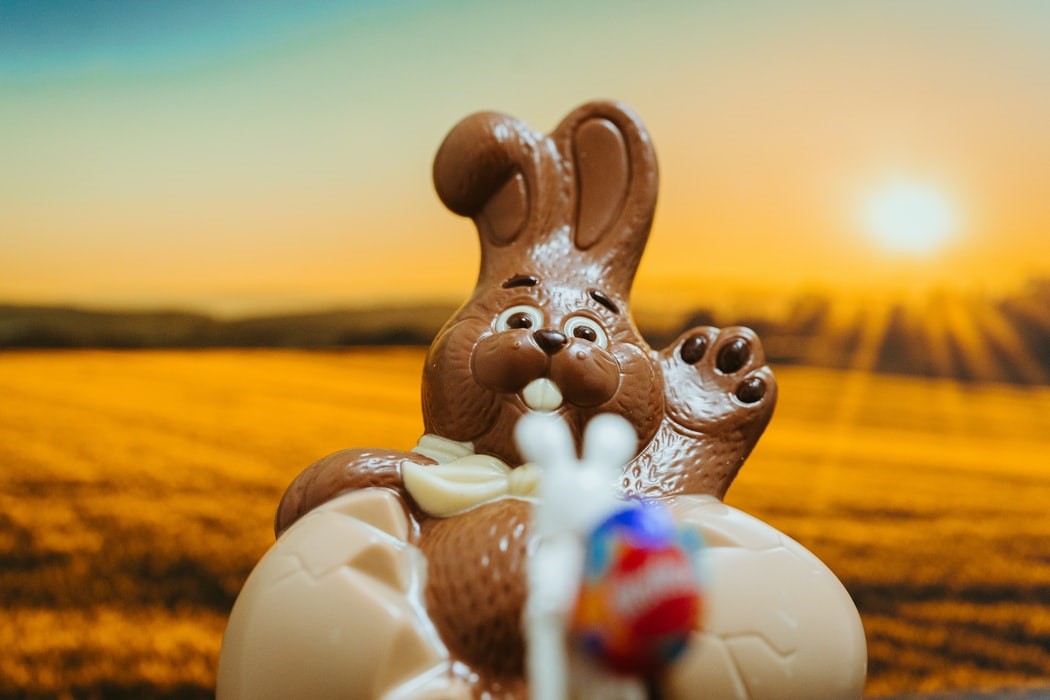 paashaas chocolade paashaas chocolade